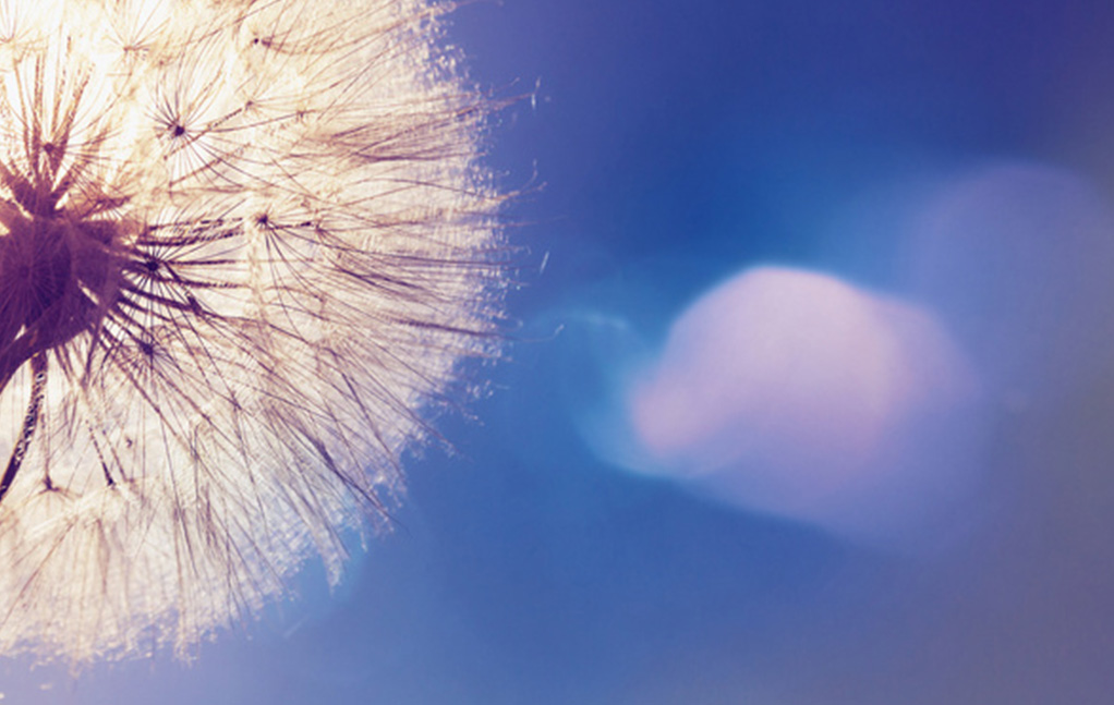 Z6尊龙·凯时(中国)-官方网站